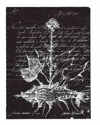 Marisa zattini - anatomie notturne